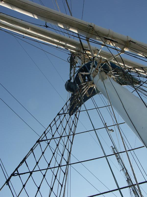 080508_Roald_Amundsen 053.jpg